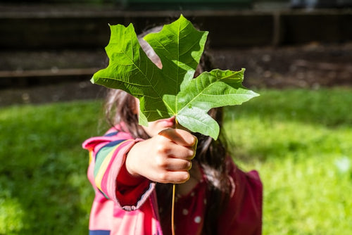 Environmental Science