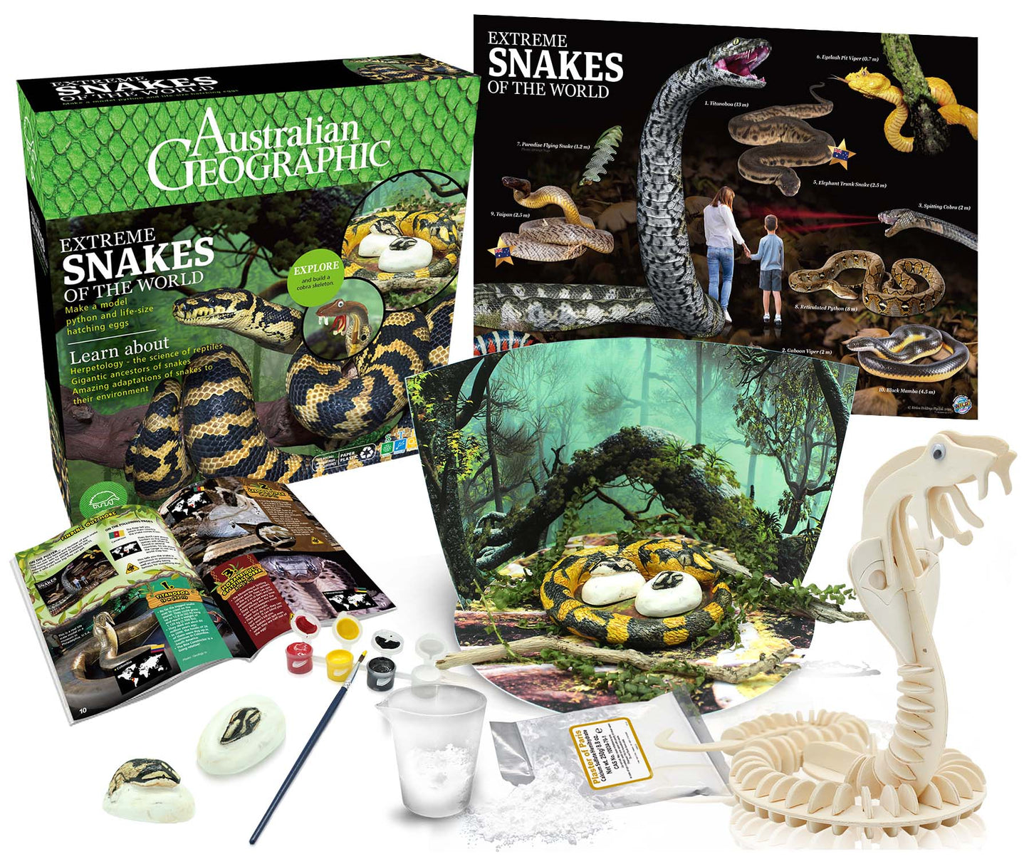 Australian Geographic | Extreme Snakes of the World Science & Craft Kit