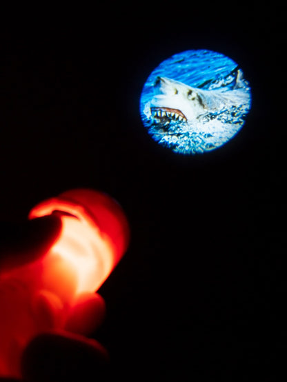 Animal Projector Torch | Australia's Most Extreme & Deadly Animals