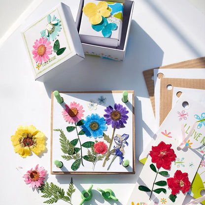 Green Science: Pressed Flower Art